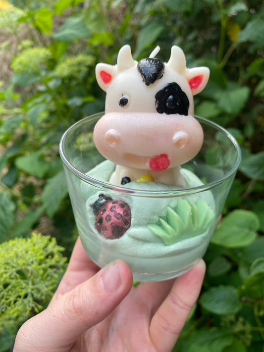 bougie vaches ( marguerite)