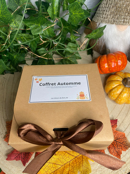 Box automne