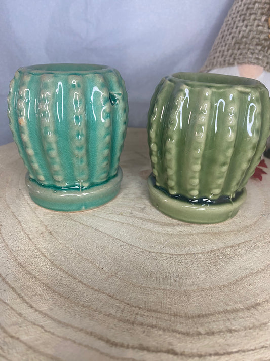 Brûleur cactus