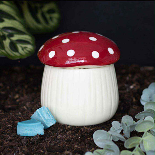 bruleur champignon